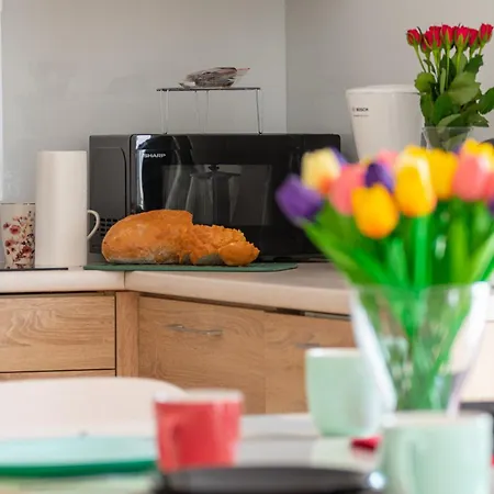 Daire Karkonosky - Zloty Widok *