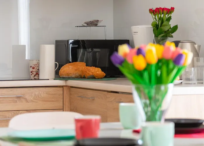 公寓 Karkonosky - Zloty Widok *